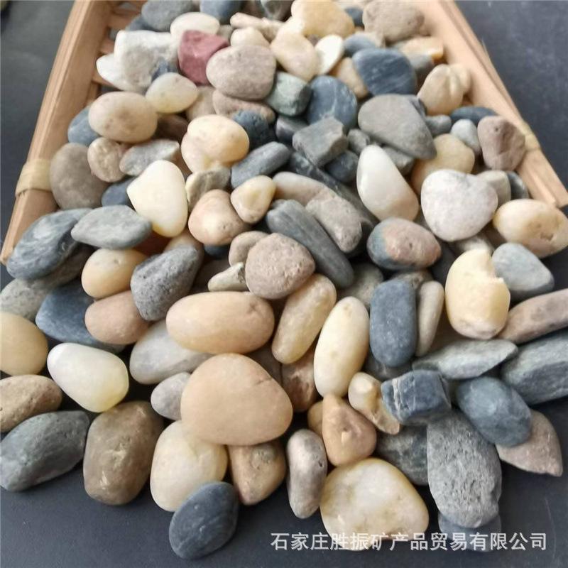 1faebe0379bf082bf16b8548ac1fea