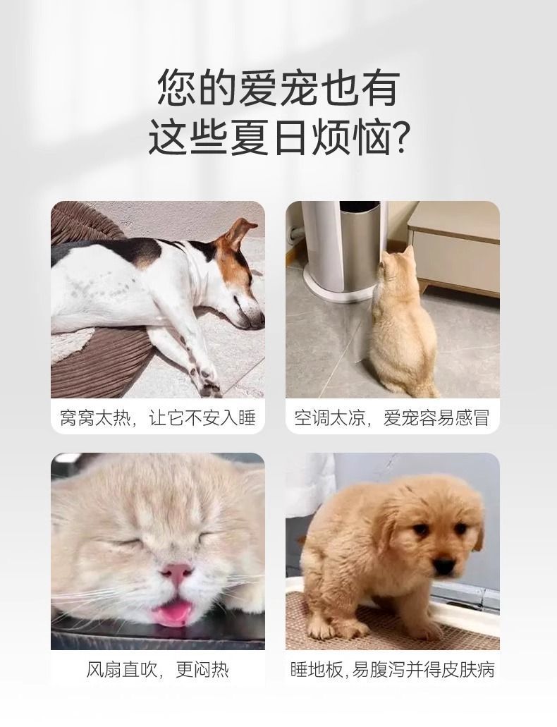 9562fad5-c816-45a4-a9e6-84e86d678bf4.jpe