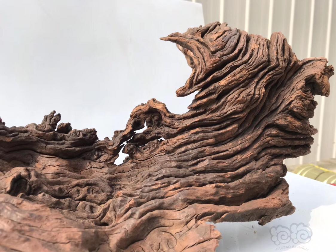 936478721556633885583