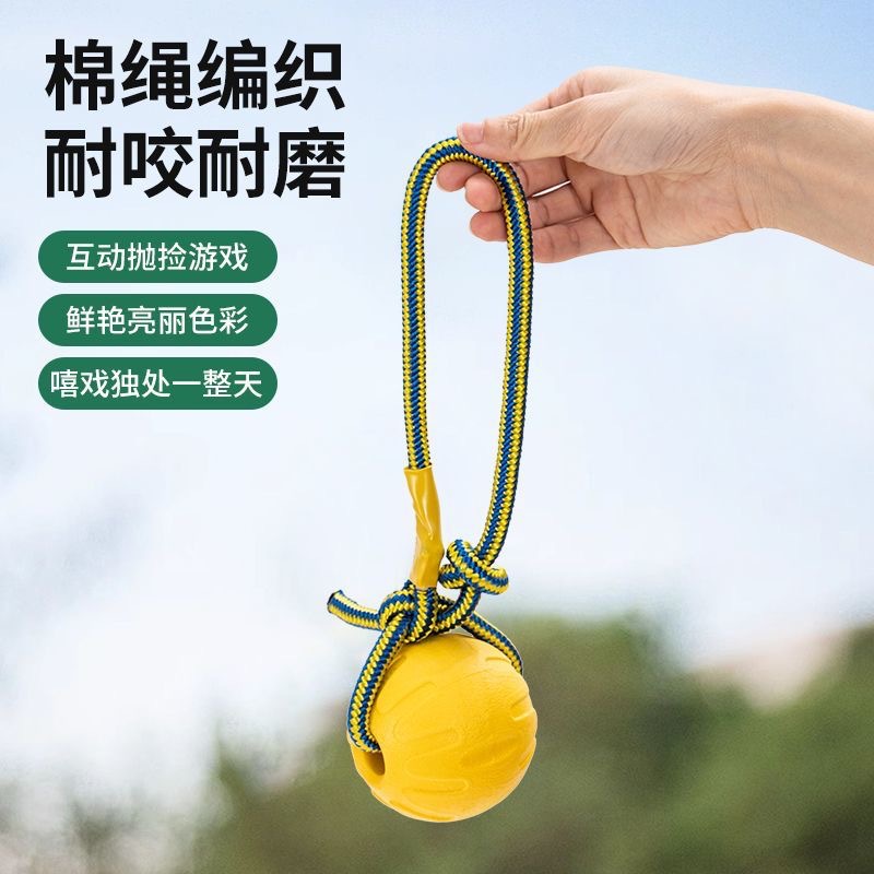 微信图片_20250402182156