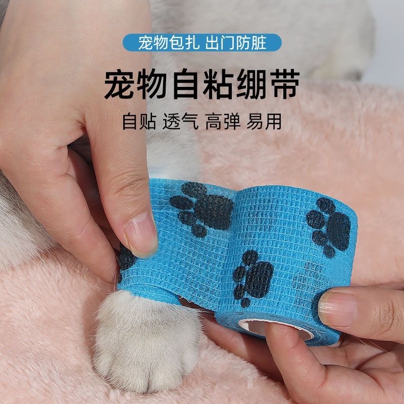 1d70c17e-d363-4f5e-83e5-344bbe9ebe9f.jpe