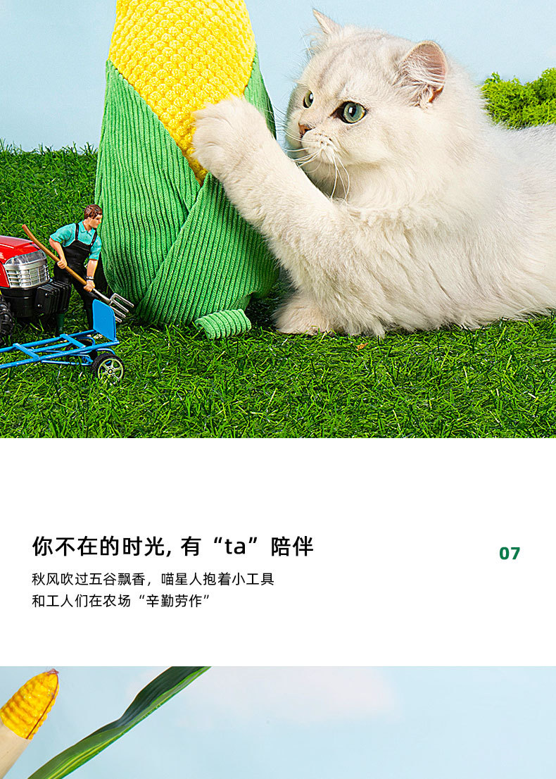 未标题-1_10.jpg