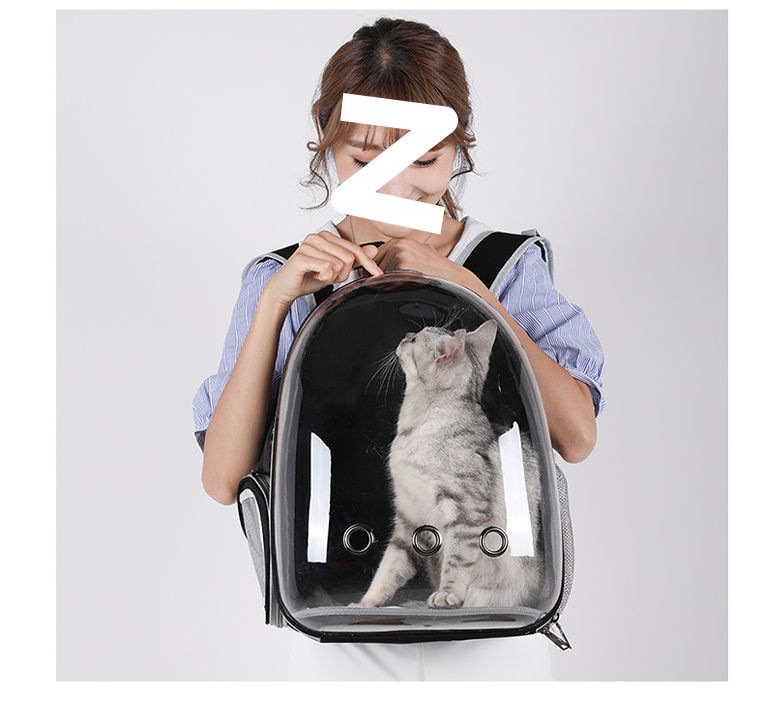 6373639d-8446-4605-851f-836473728575.jpe