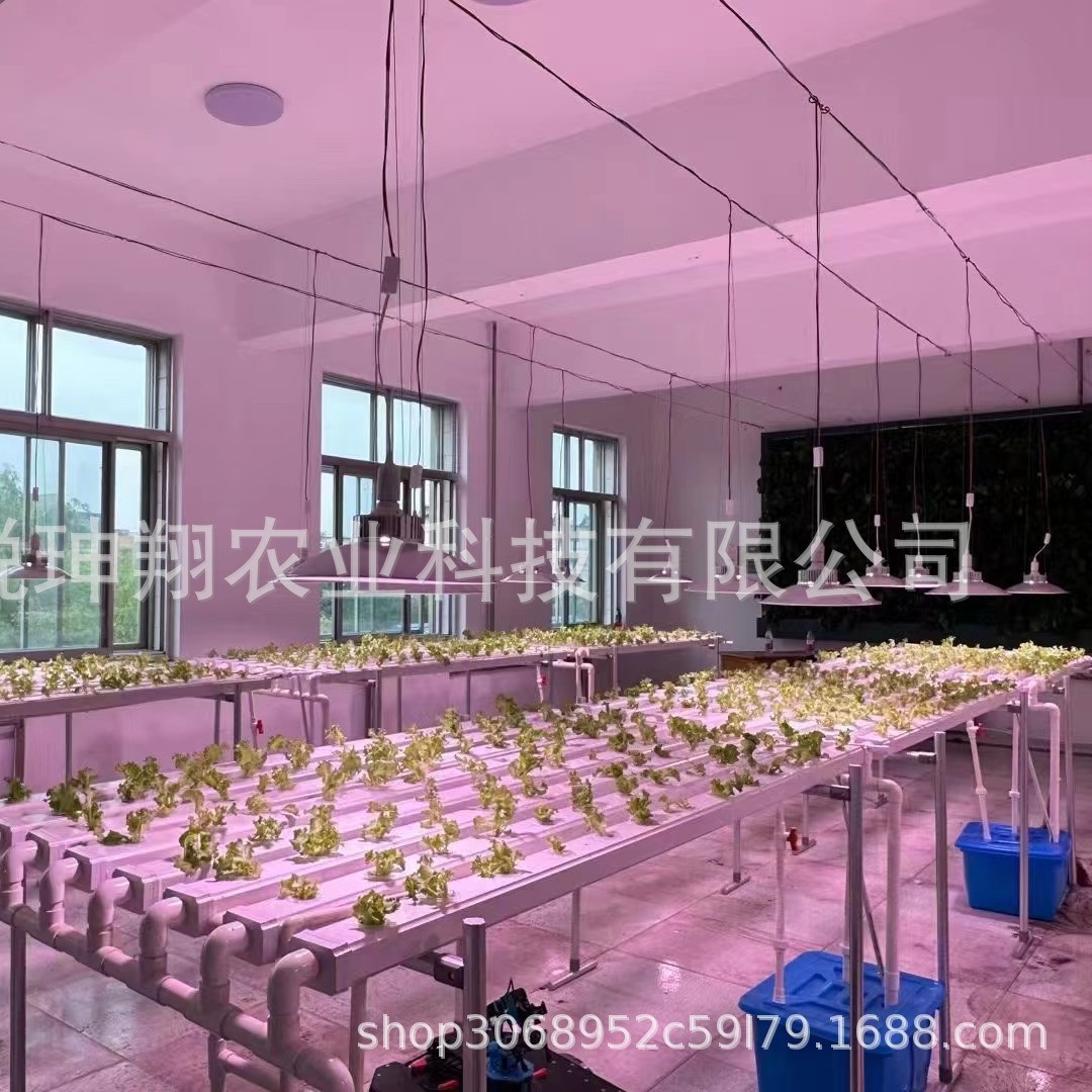 2025-05-30 09:01:41.jpg