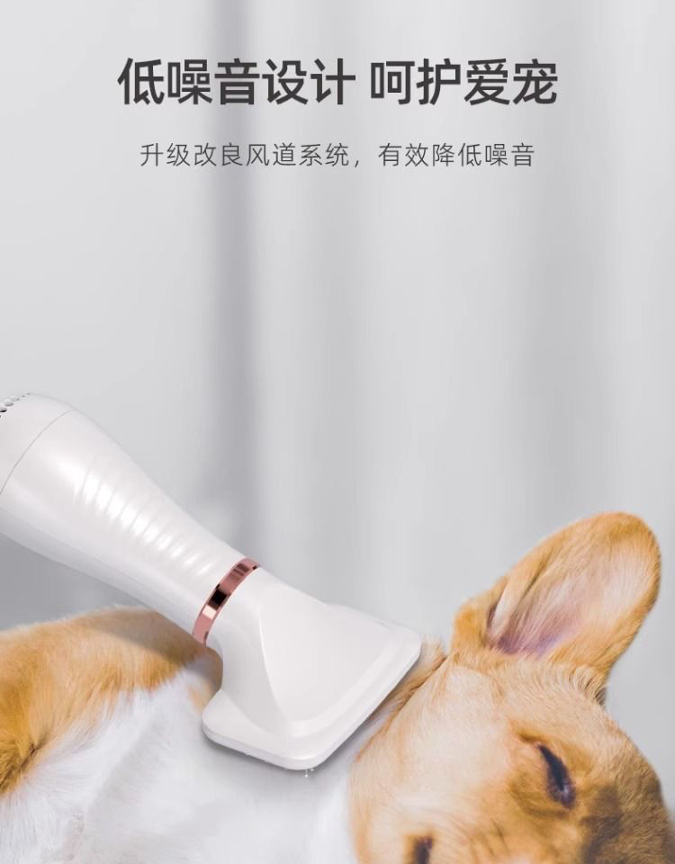 830d5856-2362-4447-b8d9-93d72f1132a8.jpe