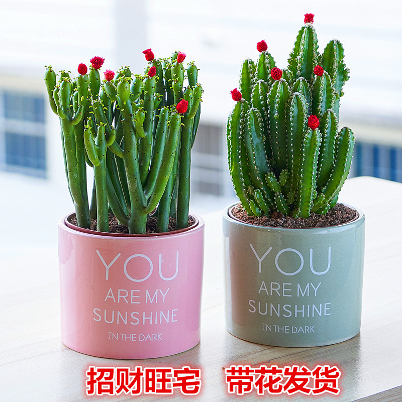 ae97e48d-dad2-4318-ac3b-2b2c78af7f2c.jpe