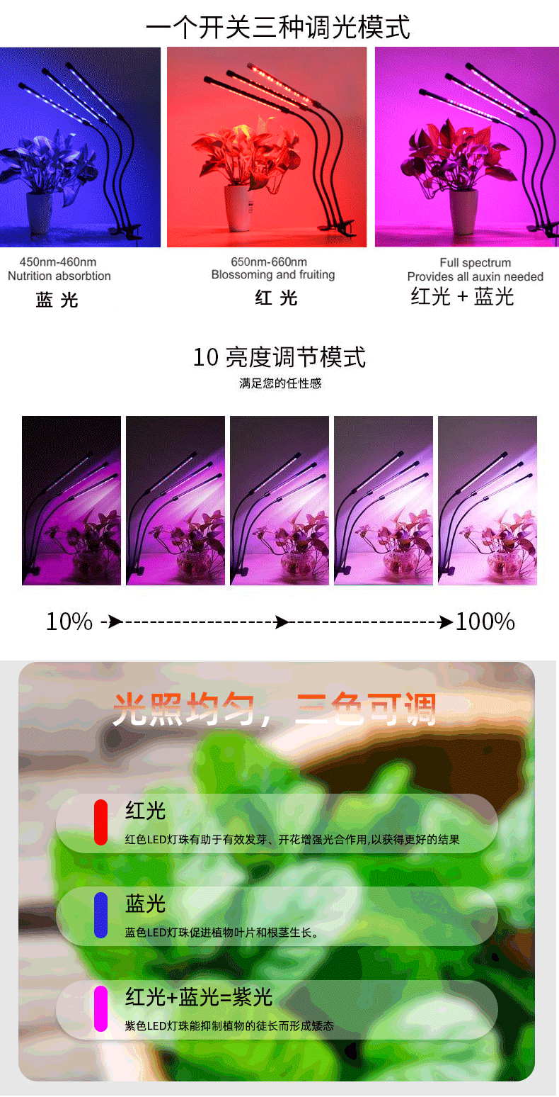 红蓝详情页_02.gif