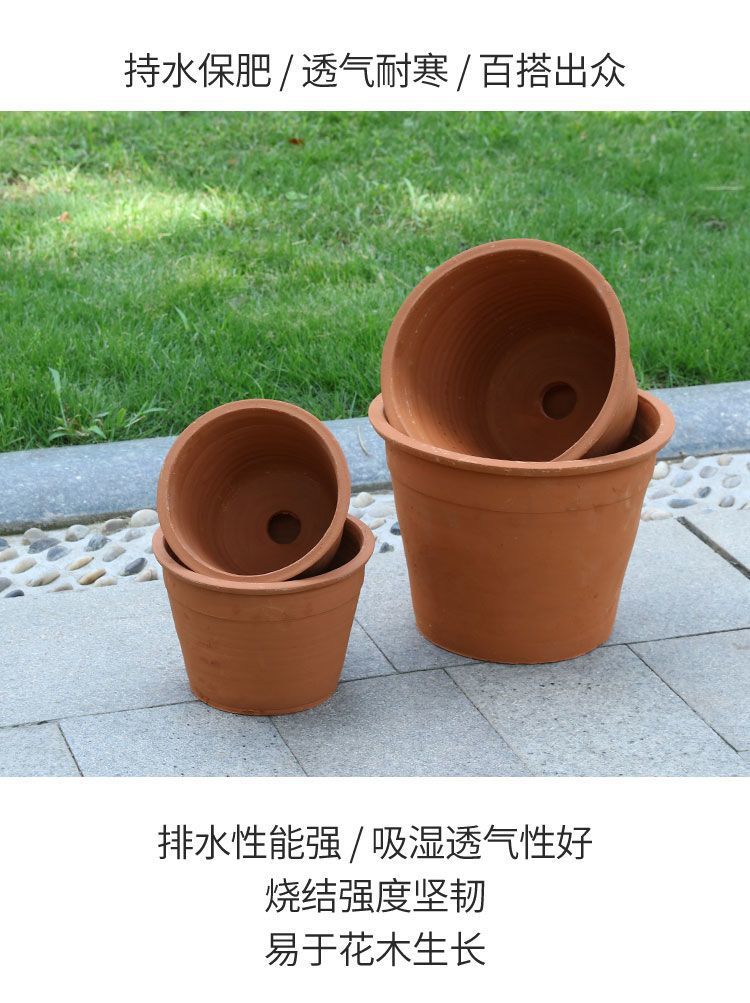 a61c44ff-de6e-4005-8bca-8541020f8aa8.jpe