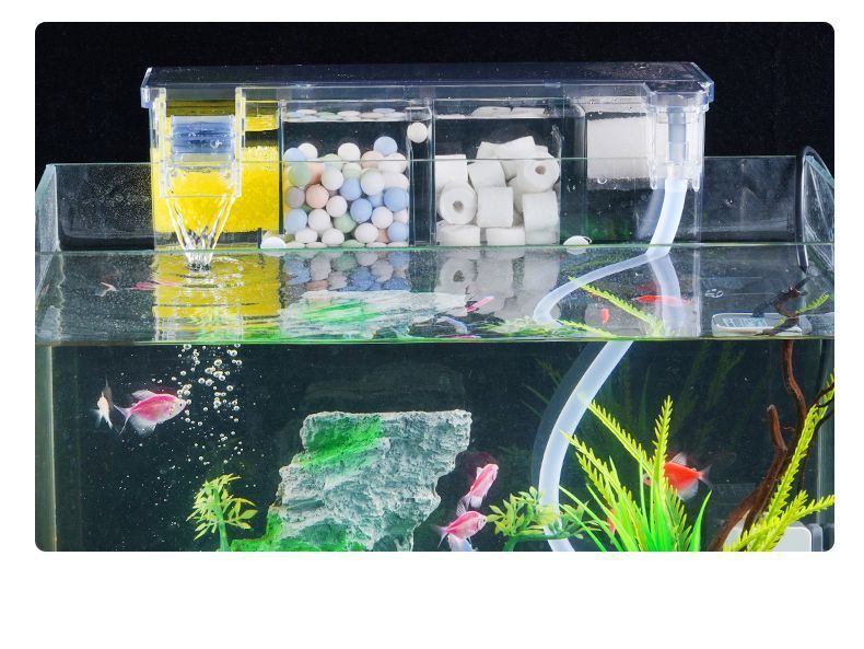 1db13d29-0679-42a2-935a-6f513d478386.jpe