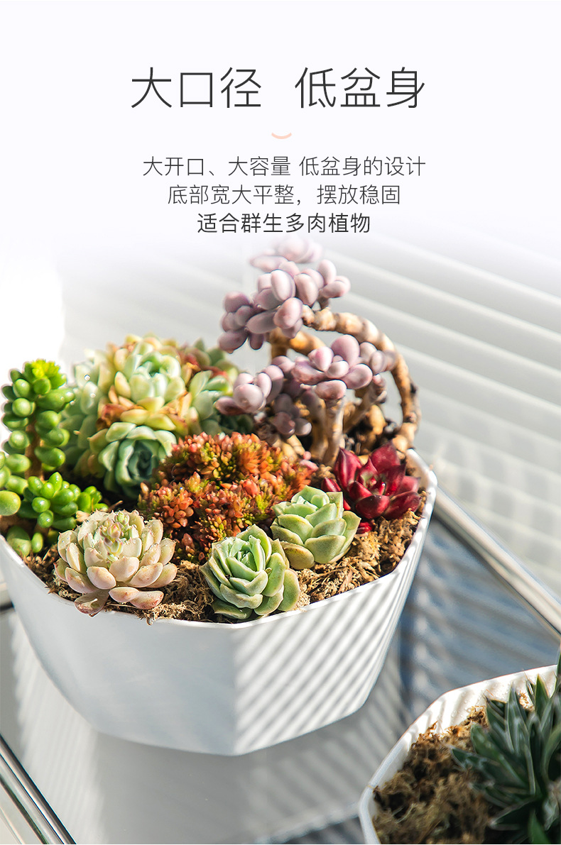 比加盆详情页分页_07