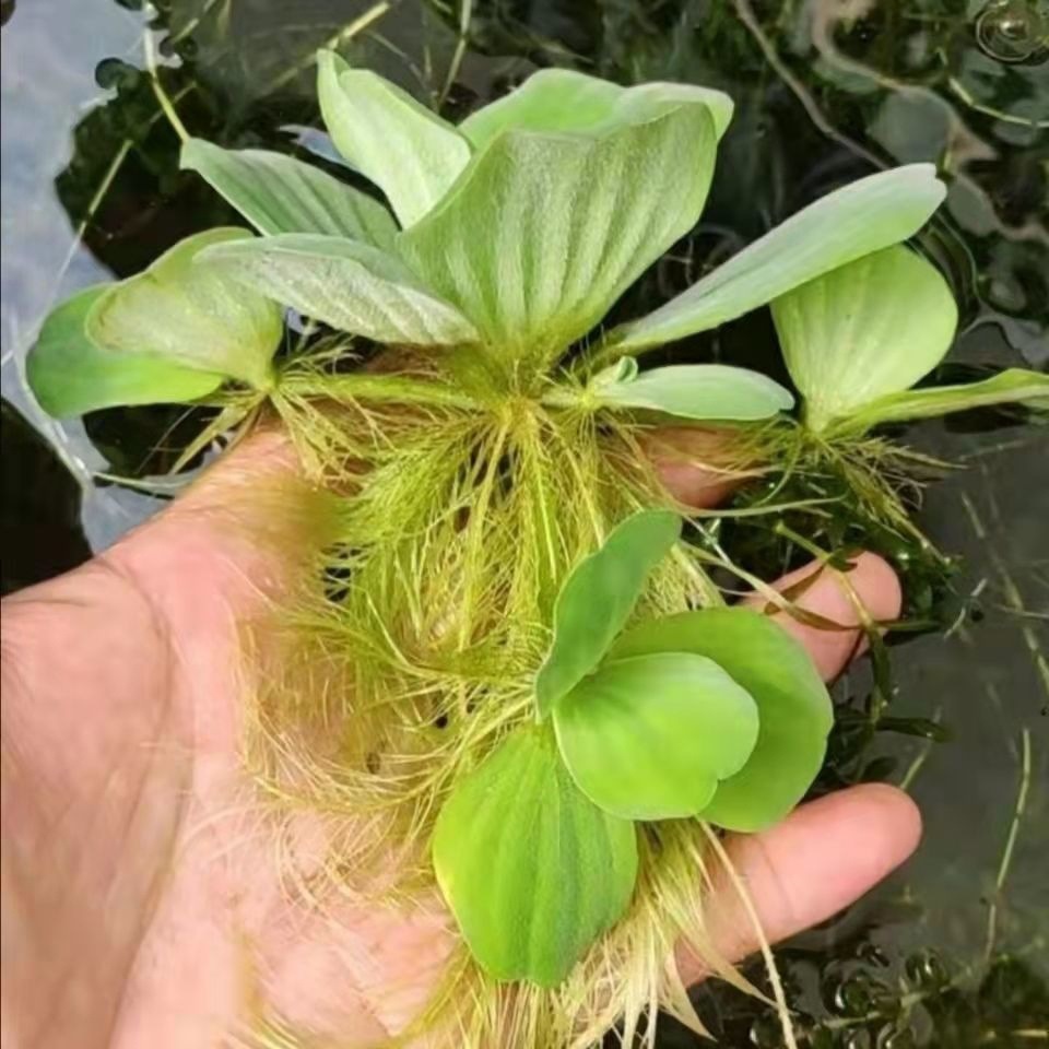 5eb95d6a-2842-40bb-821d-b736afc35532.jpe