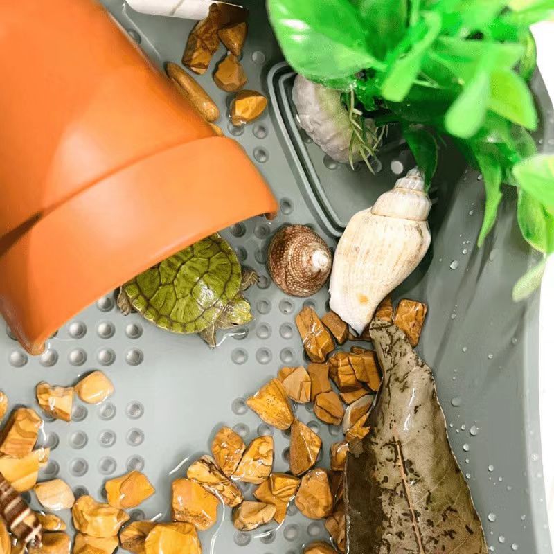 32b1026b-5f9f-47f8-9595-95c2601c1af1.jpe