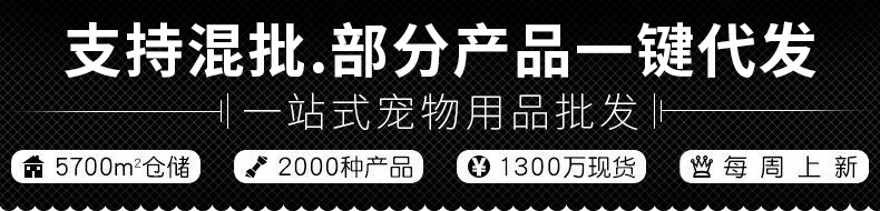 抬头模版