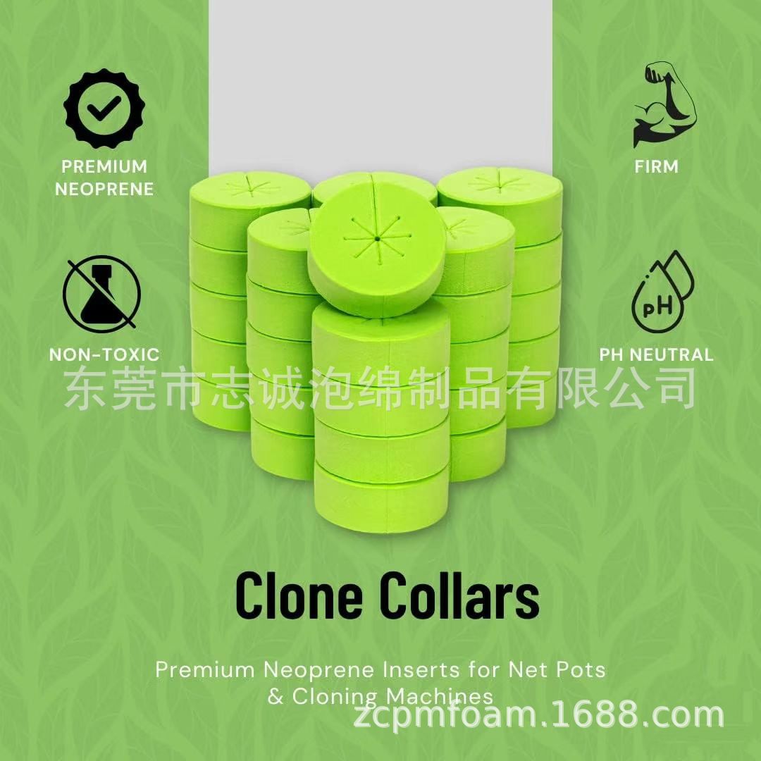 52e1d614cbbe6a2662fedce4fe9582