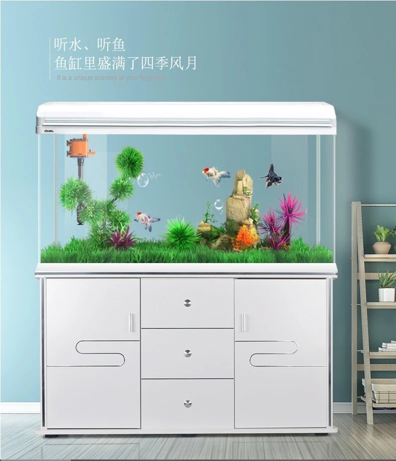 e0e79b3a-450b-4e83-9d25-7a39d3f1a04b.jpe