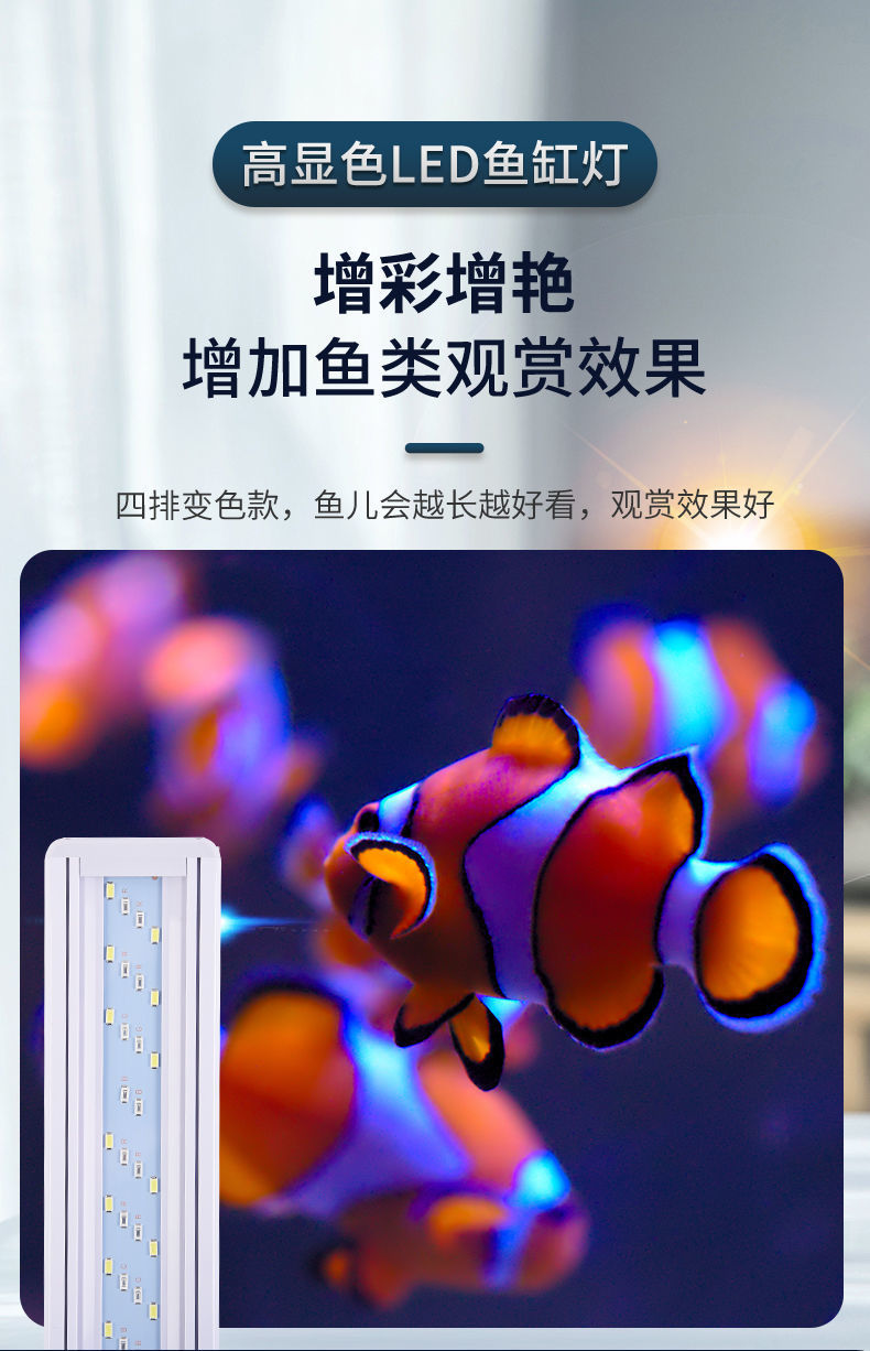 2a78db94-5fda-4689-82f9-f7739bca35de.jpe