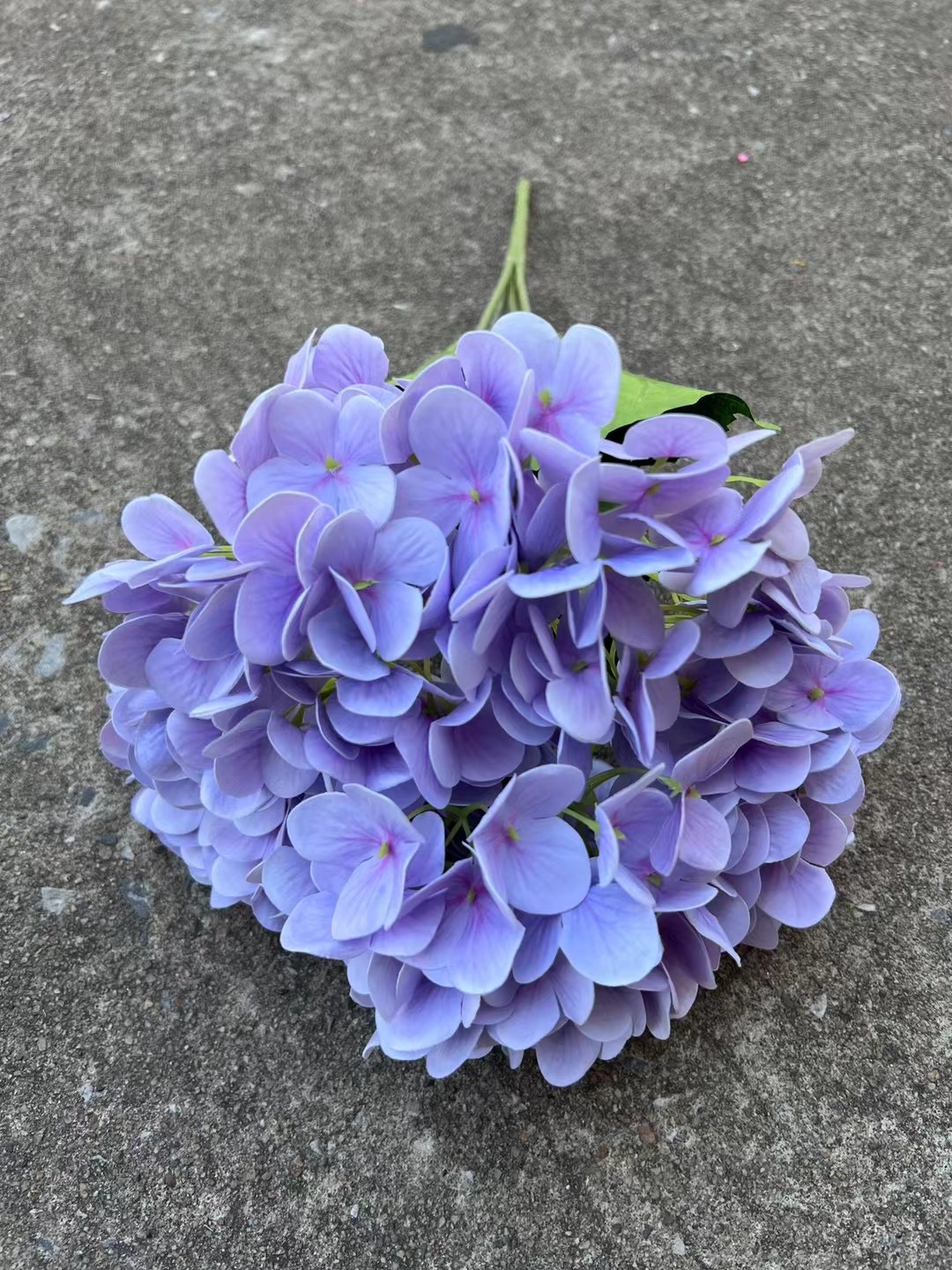 微信图片_20240805150058