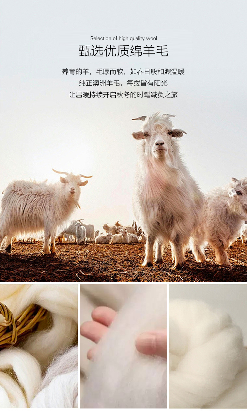 详情-拷贝_06.jpg