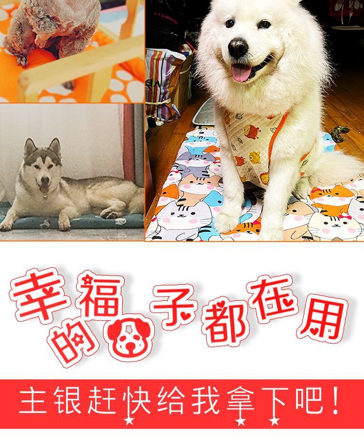 27cad43a-a800-449e-b9ba-96ce7e456c4f.jpe