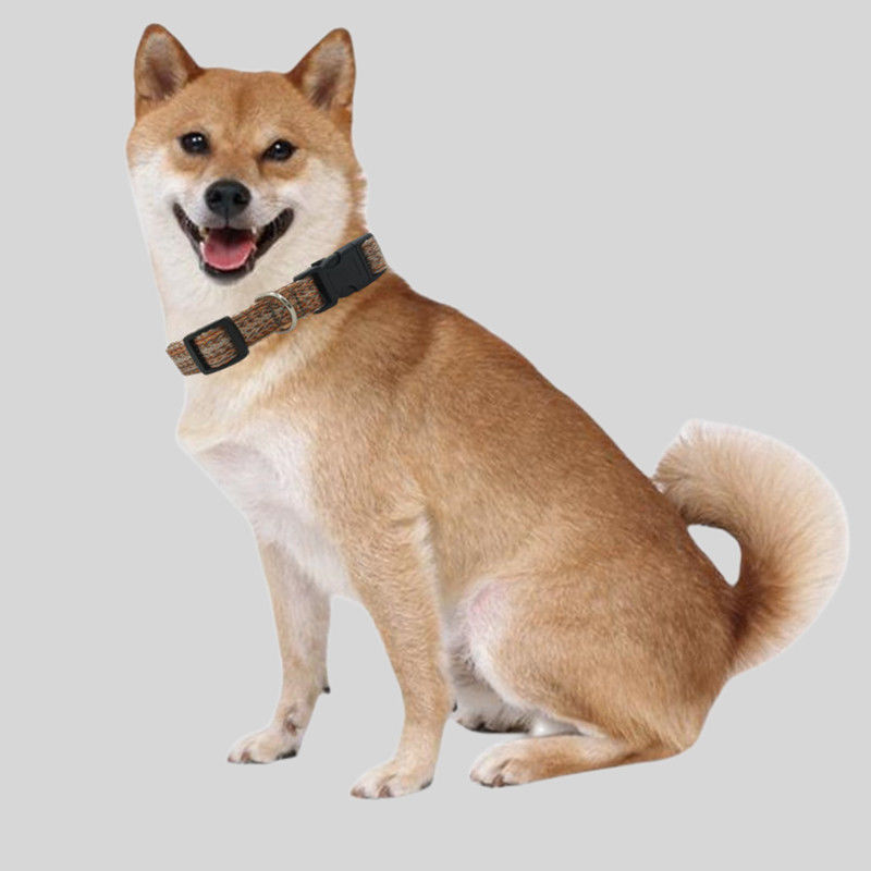 0545929c-f9bd-4361-ad9e-a47696e33b3f.jpe