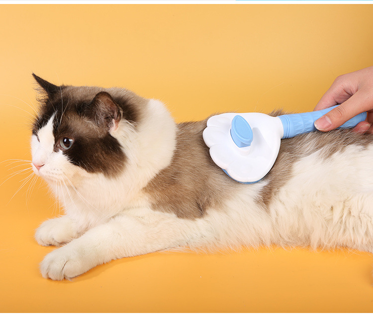 63f734f7-06d6-4764-ae08-222e001c6a3e.jpe