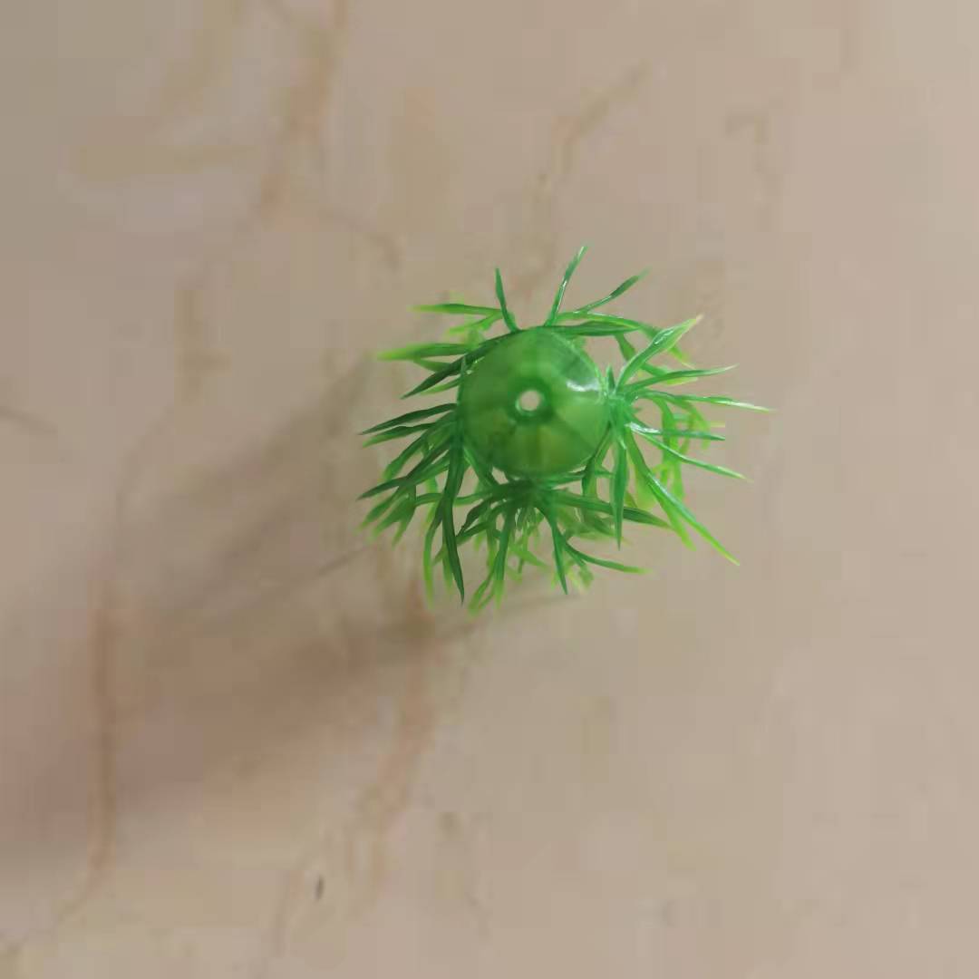 图片_20210916140826