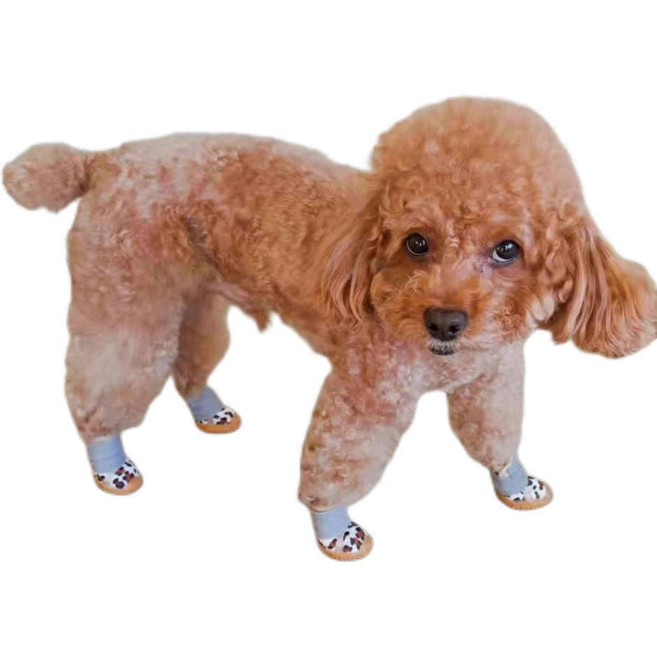 b753f5e0-2ec4-11ed-8e69-0a580a