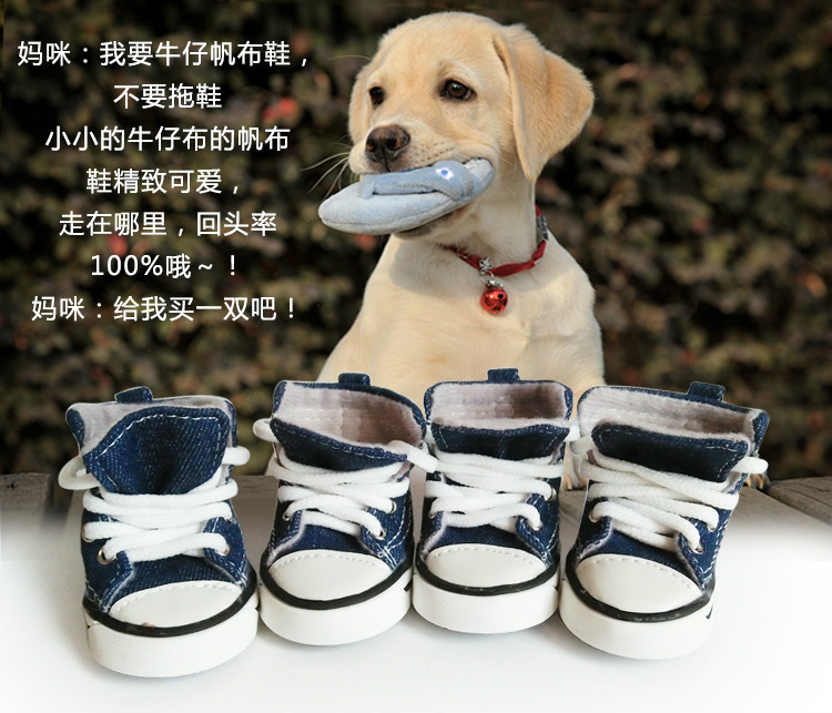 牛仔帆布鞋 (2).jpg