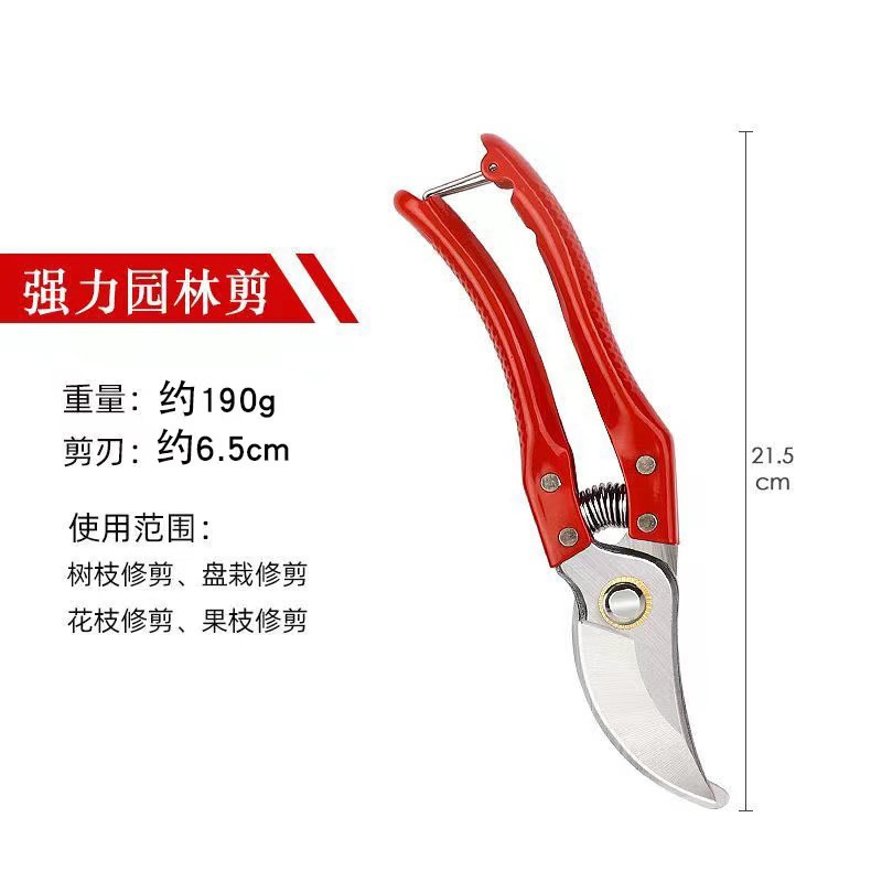 微信图片_20240526200050