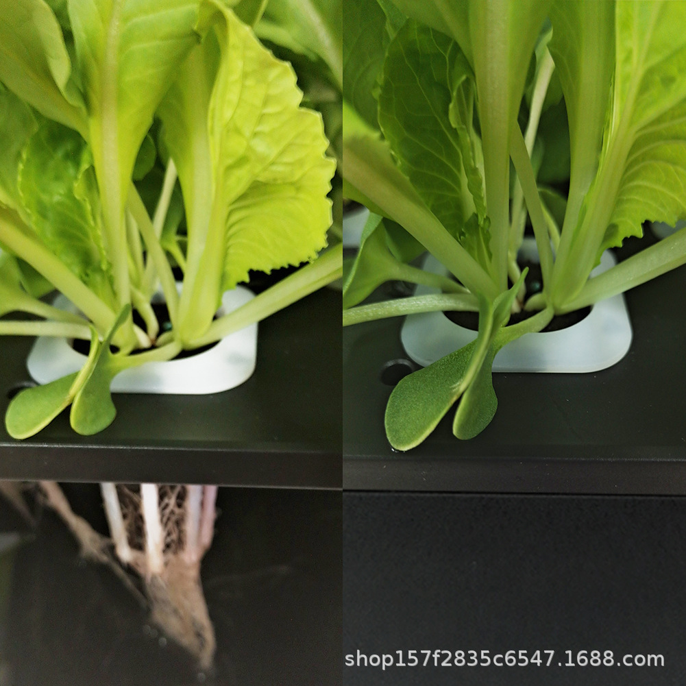 IGS-20SE新款跨境爆品植物机智能种植机水培机