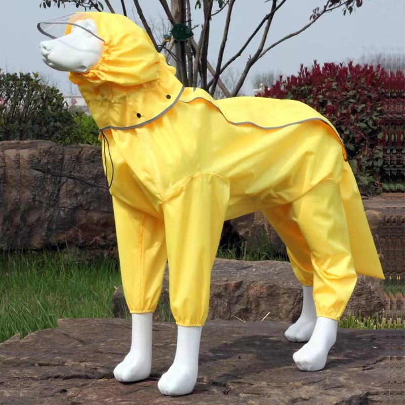 387a3665-8a4d-47a2-af11-fefa8633e5b0.jpe