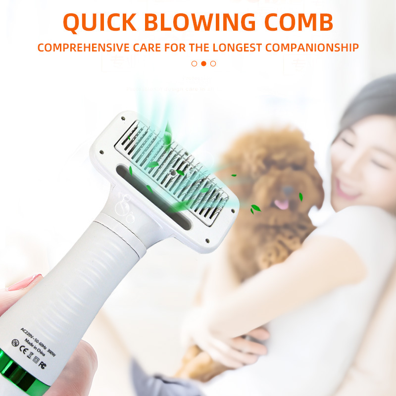 微信图片_20240929125437