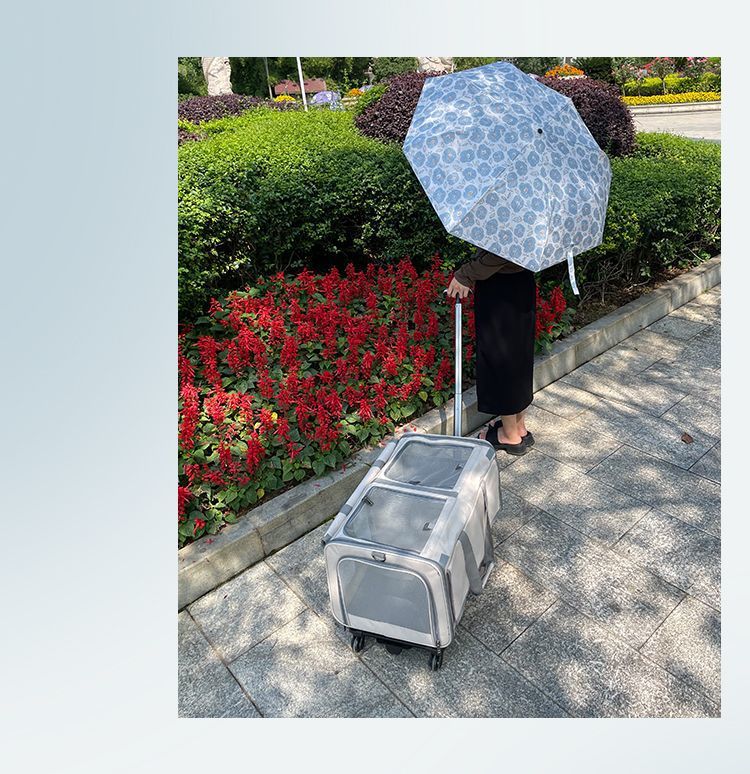 1a563085-1221-4ee2-916a-d739956a956b.jpe