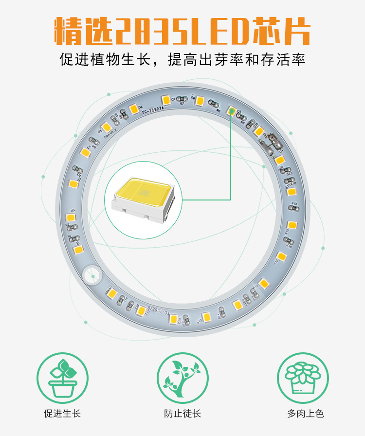 详情页_08.jpg
