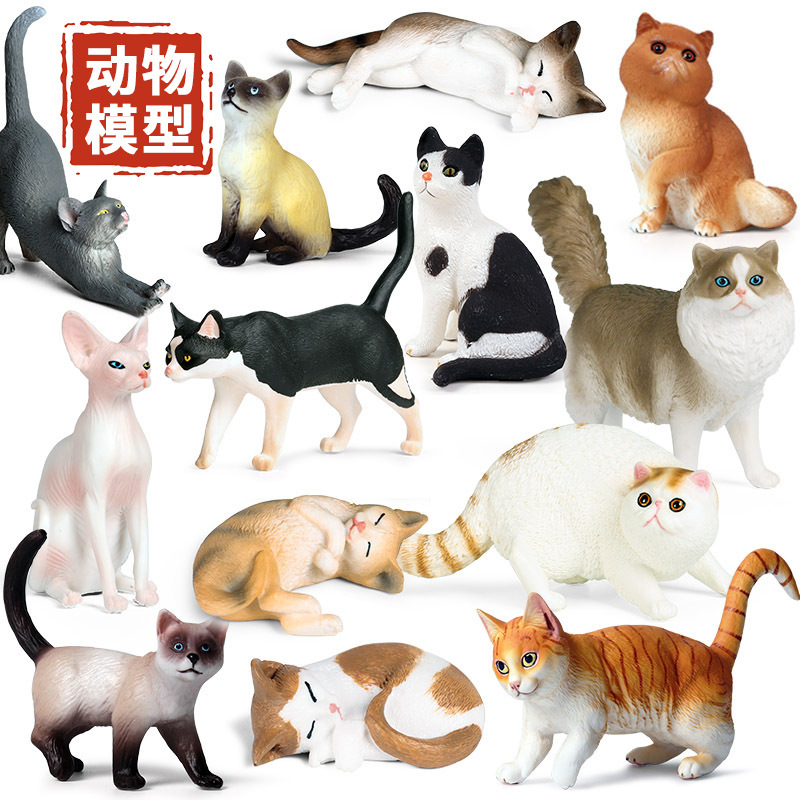 主图