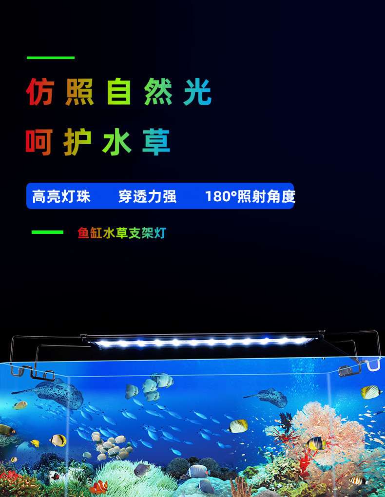 详情页2_01_已改