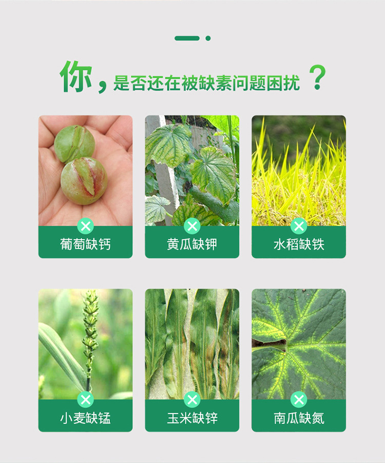 详情2_02