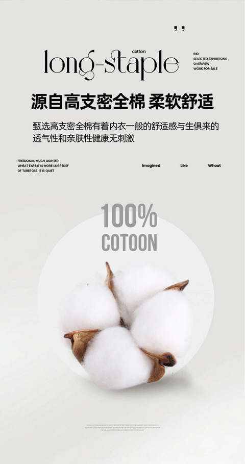 67525fd8-ad94-48f7-9b00-5ca18e3b7dd4.jpe