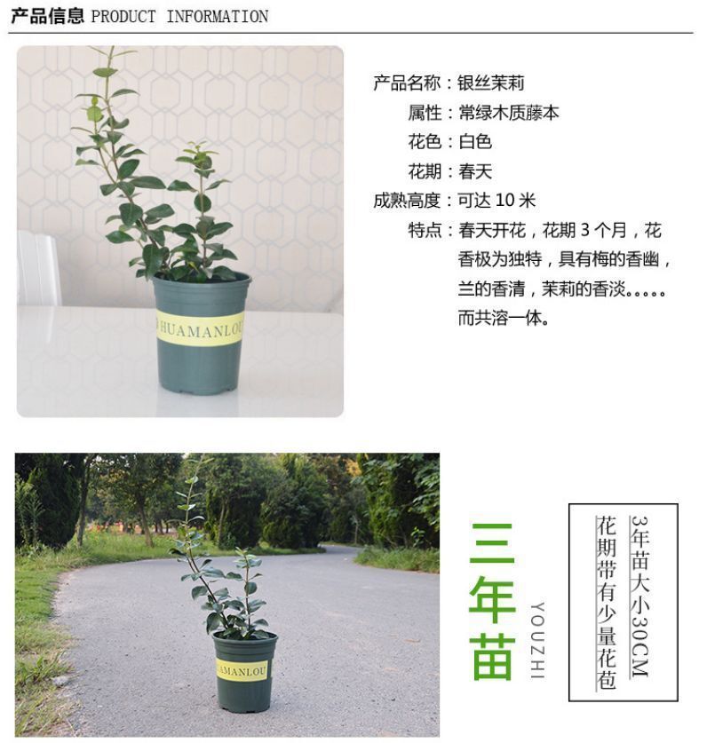 0ce81f41-a5cd-47c1-8dd4-1f33ca062dc8.jpe
