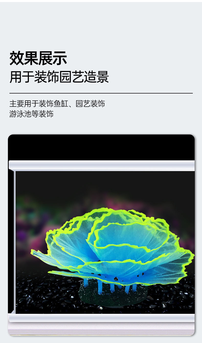 生菜珊瑚详情_03.jpg