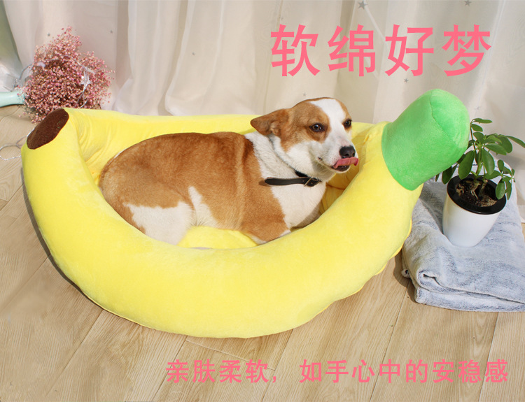 O1CN01F4fttB1i7DMNbEfpU_!!1156