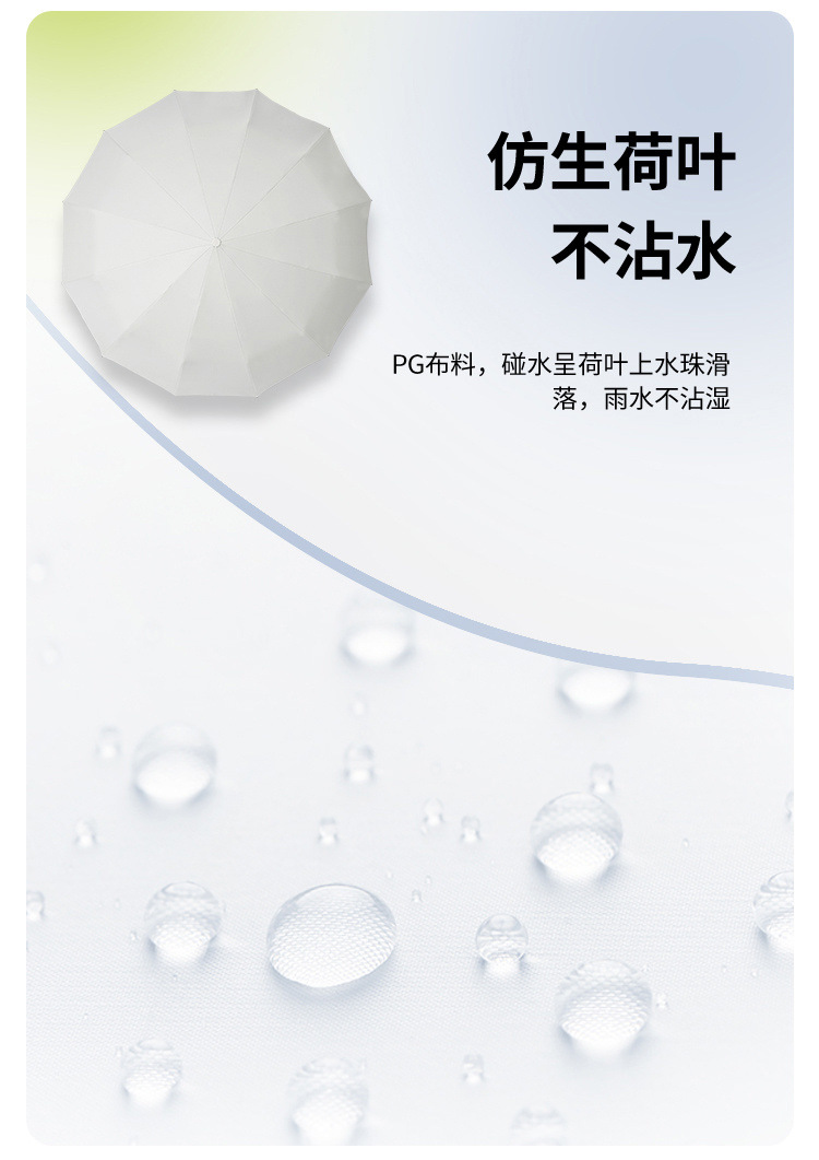 b7e06a4e-39eb-4320-9a09-7e96c22689f5.jpe