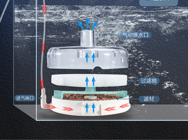 a0bacf09-1a64-4f47-a350-bb10562a2481.jpe