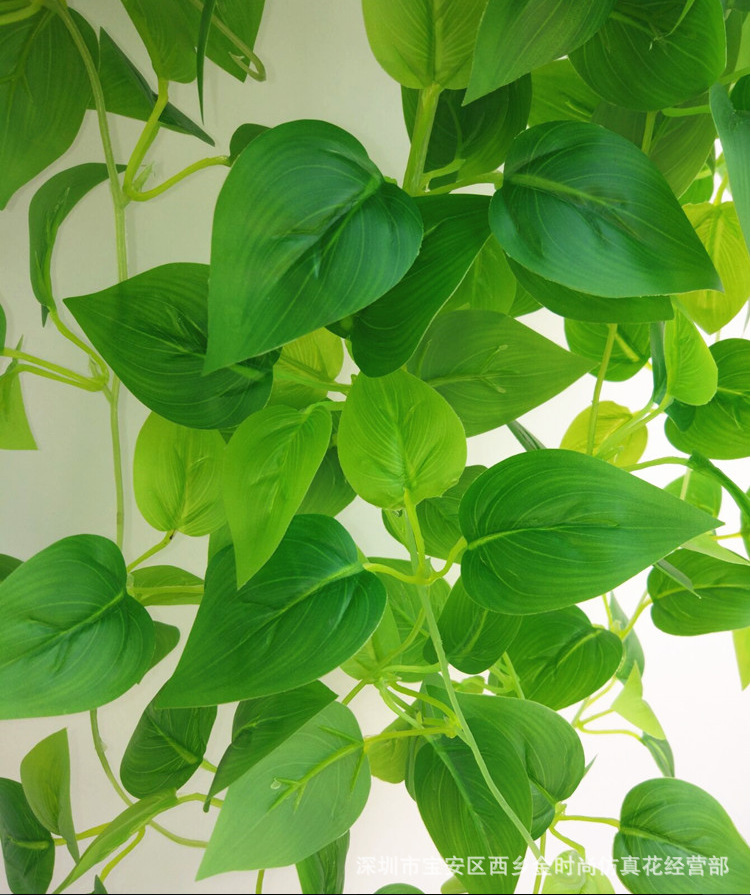 微信图片_20210603161502