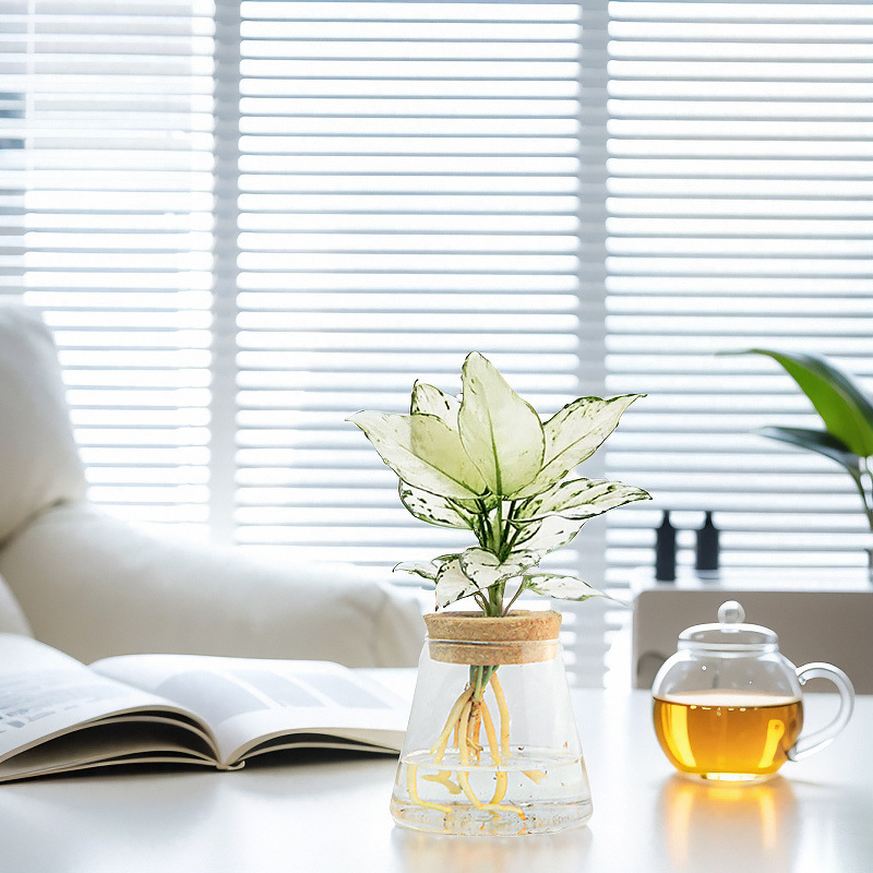 83bcd9c0-0d51-443d-ab7b-b1b51a422acf.jpe