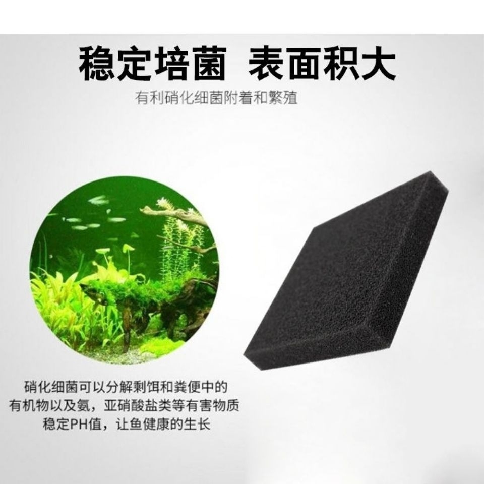 187ec8ee-2b51-45a0-9f1c-dbefb7a3cb2b.jpe