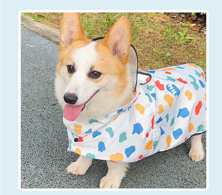 020705dc-877c-4705-9223-dce19d985f01.jpe