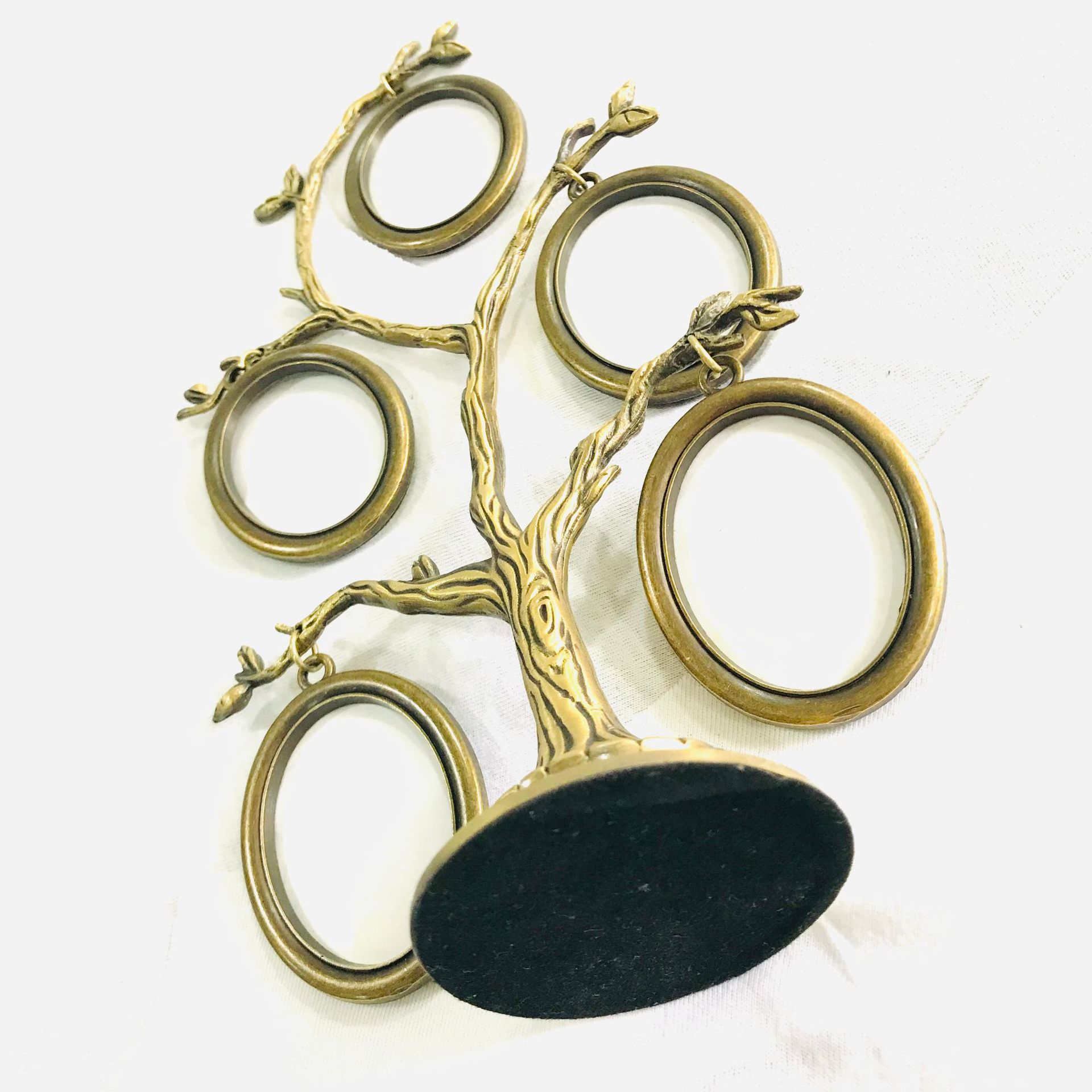 微信图片_202411151454071