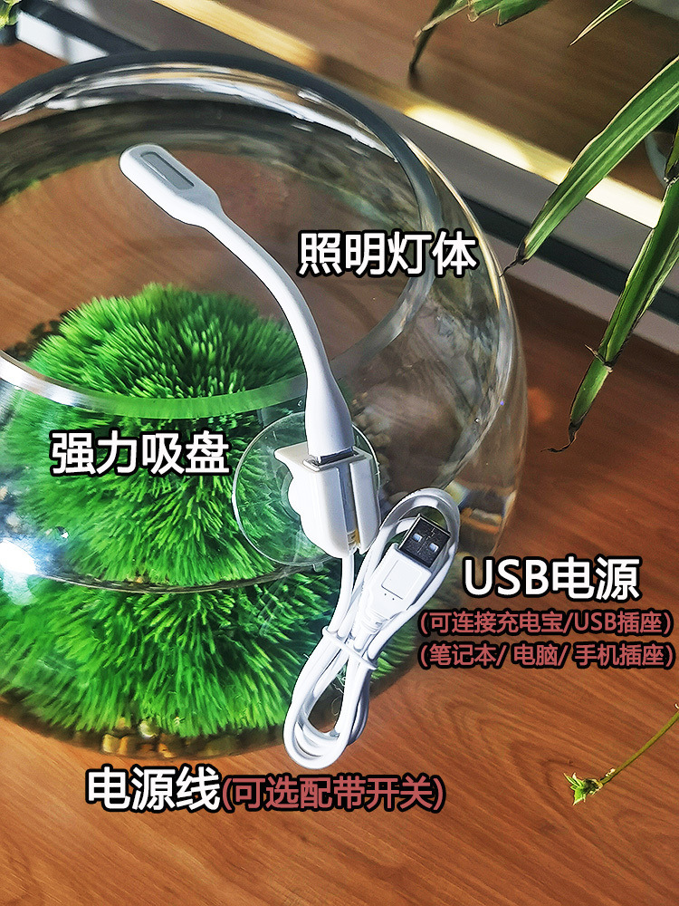 3499e6b5-ae8c-4295-87cc-137898e84e40.jpe