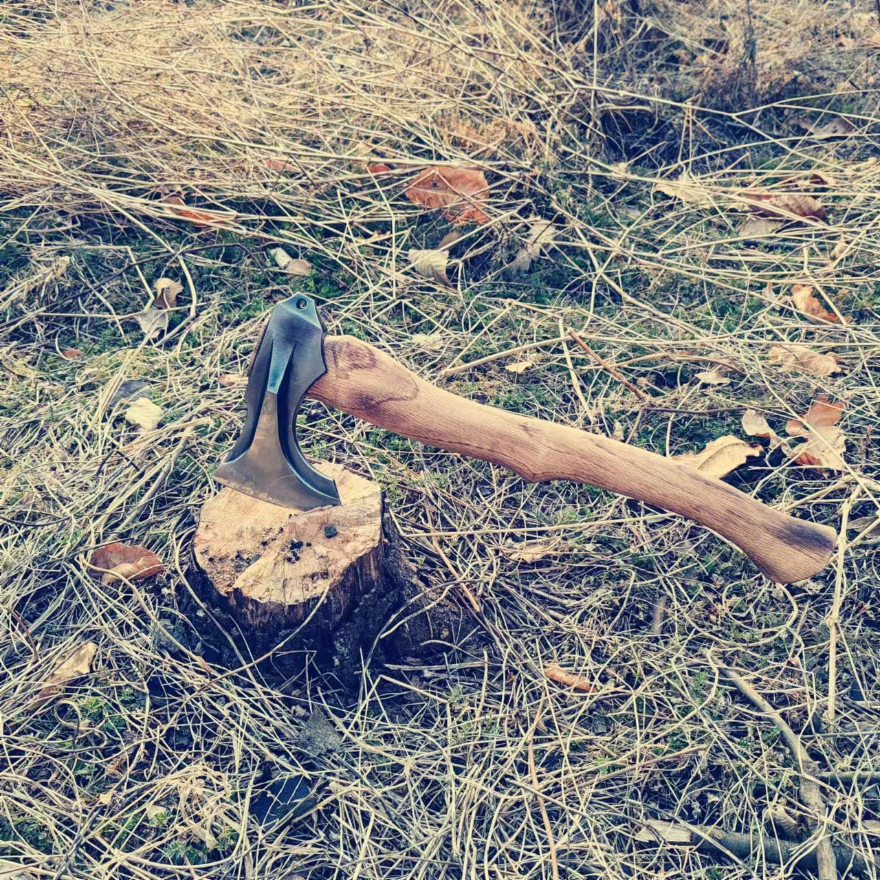 微信图片_20240305165414